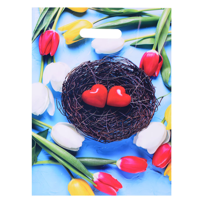 Пакет ПЭ с вырубной ручкой 31х40 глянец (Триумф) Пакет ПЭ с вырубной ручкой 31х40 глянец (Триумф)