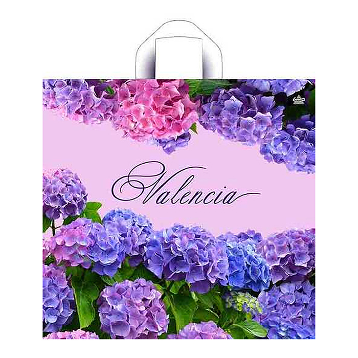 Пакет "Валенсия" пакет петлевой (420х440х70) Пакет "Валенсия" пакет петлевой (420х440х70)