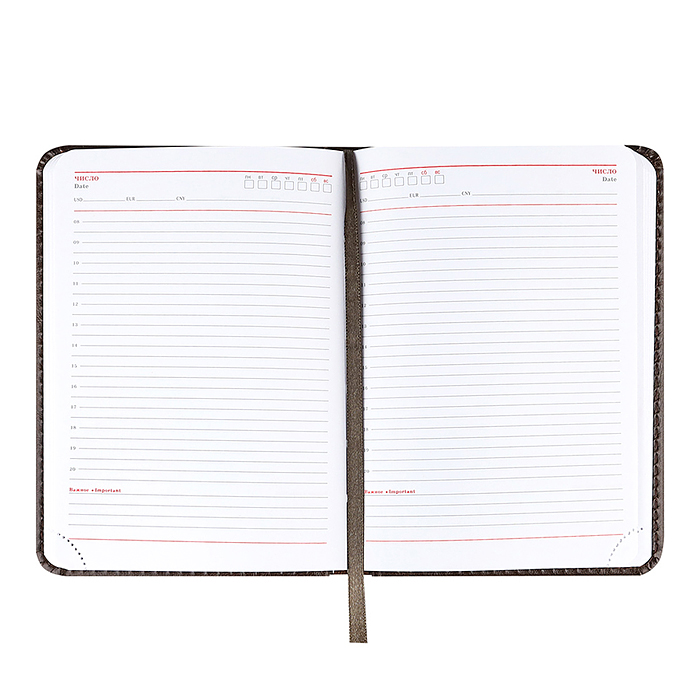 Фото к товару Ежедневник А6, 128л. недатир. "EVERYDAY CHRONICLES - BORDEAUX" кожзам (темно-коричневый) Ежедневник А6, 128л. недатир. "EVERYDAY CHRONICLES - BORDEAUX" кожзам (темно-коричневый)