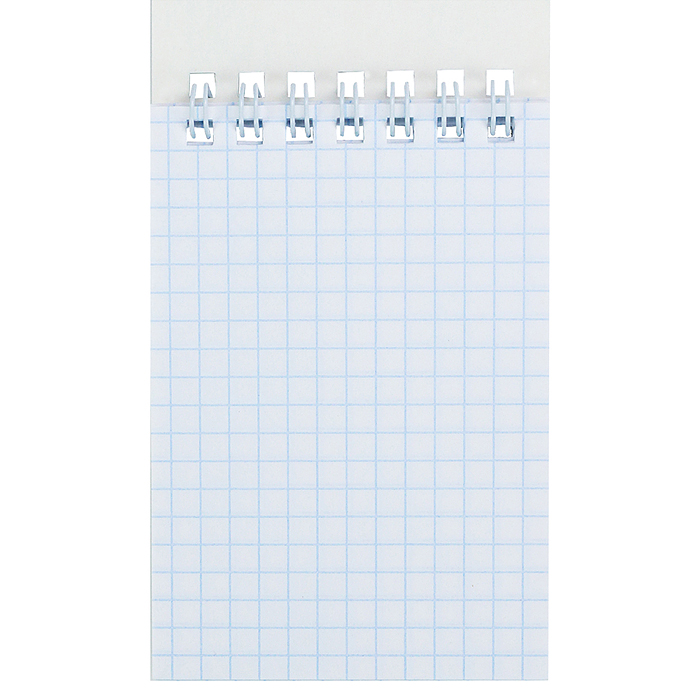 Фото к товару Блокнот А6 40л. клетка "Большой пушистый кот" ассорти, цвет.мелов.обл, офсет Блокнот А6 40л. клетка "Большой пушистый кот" ассорти, цвет.мелов.обл, офсет