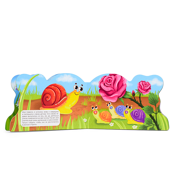 Фото к товару Вырубка с глазками 35мм. "Улитка" Вырубка с глазками 35мм. "Улитка"