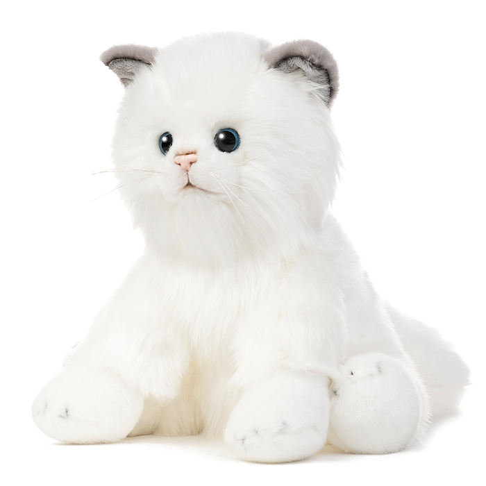 Котик Турецкая Ангора, 25 см