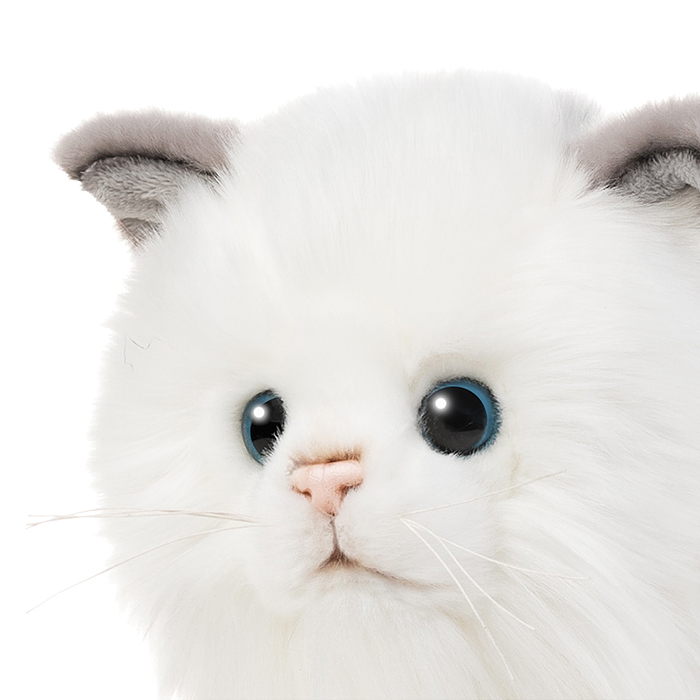 Котик Турецкая Ангора, 25 см