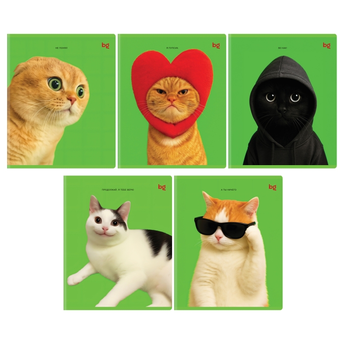 Тетрадь 48л., клетка "Во как!", выб. лак Тетрадь 48л., клетка "Во как!", выб. лак