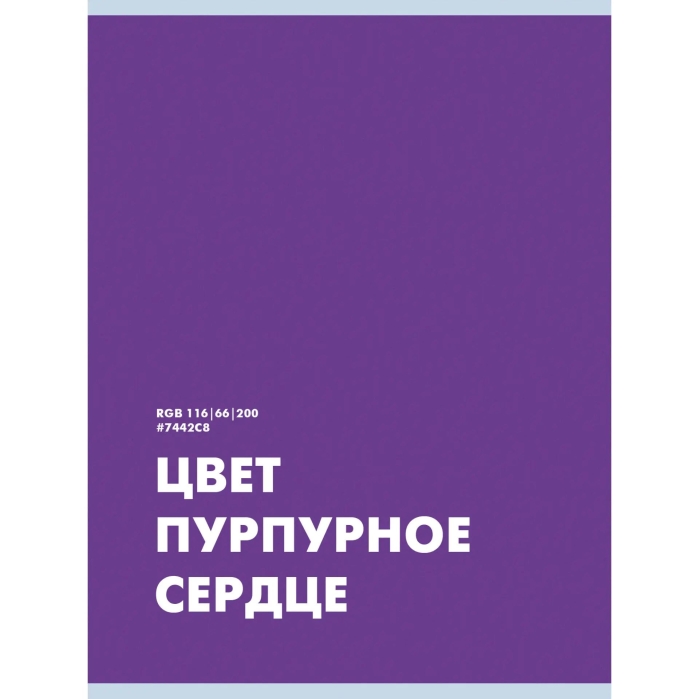 Тетрадь 48л. клетка "Пурпурное сердце" скрепка обложка мелованный картон. Бумага–офсет 60г/м2, белая