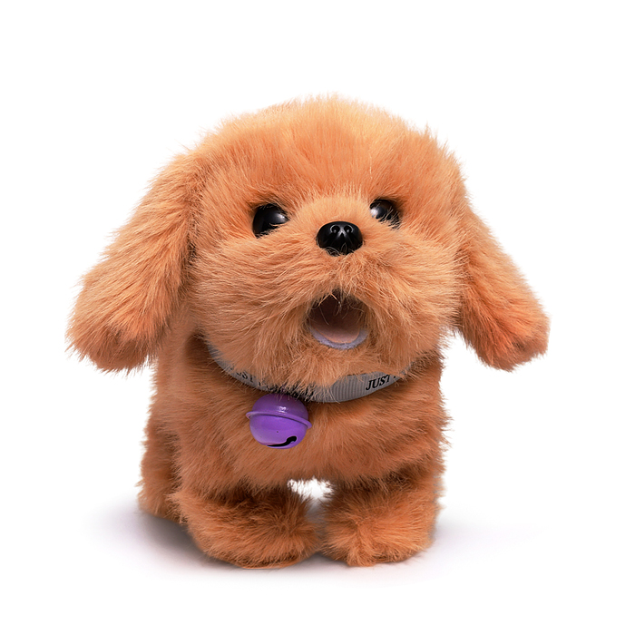 Фото к товару Собака 00-6812 "Ричи" (бегает, записывает, лает, виляет хвостом, открывает пасть) в пакете Собака 00-6812 "Ричи" (бегает, записывает, лает, виляет хвостом, открывает пасть) в пакете