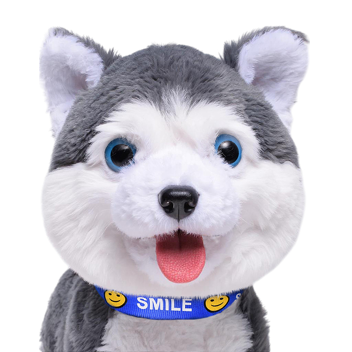 Фото к товару Собака 00-6814 "Джек" (записывает, поёт, двигается) в пакете Собака 00-6814 "Джек" (записывает, поёт, двигается) в пакете