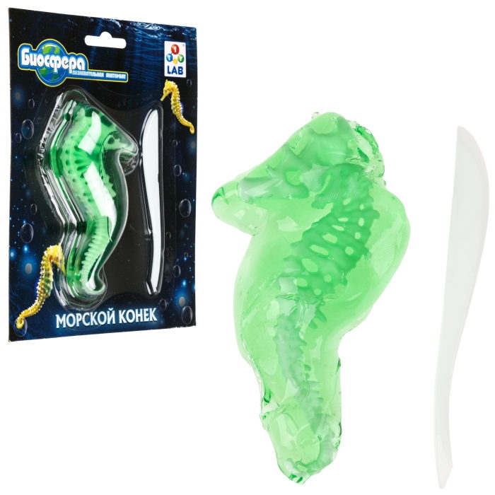 Познавательная анатомия, мини набор "Морской конек" 14х18см