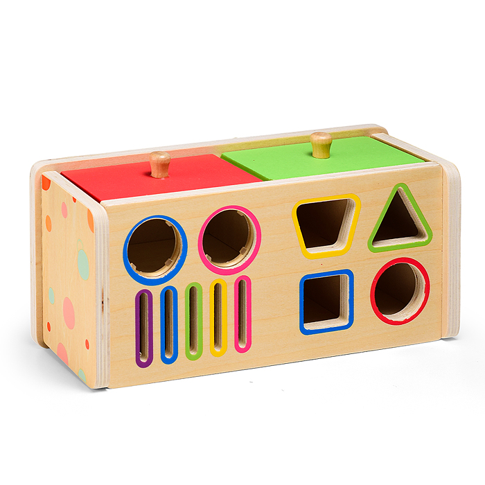 Сортер D2173 "Логика и мышленик"