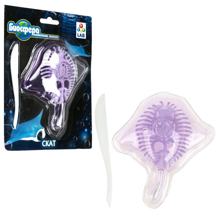 Познавательная анатомия, мини набор "Скат" 14х18см Познавательная анатомия, мини набор "Скат" 14х18см