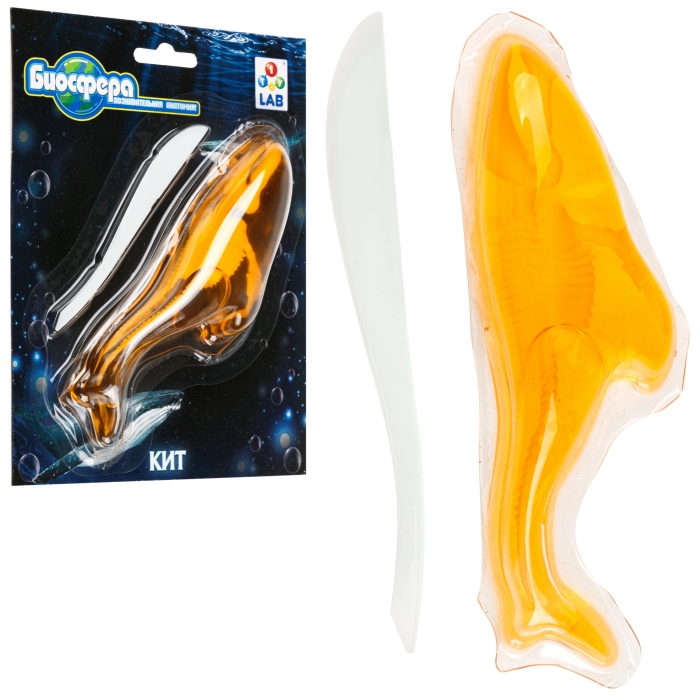 Познавательная анатомия, мини набор "Кит" 14х18см