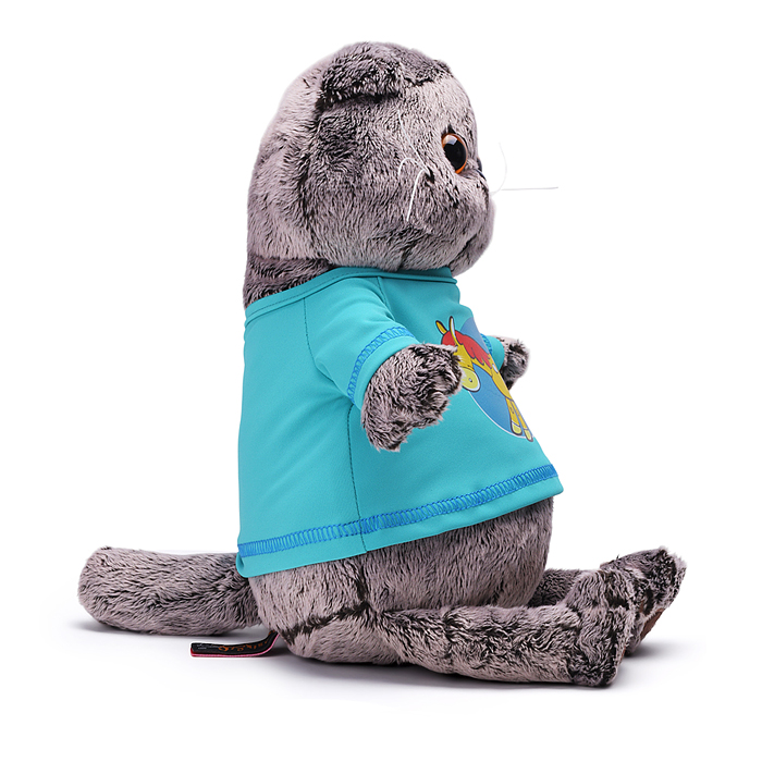 Кот Басик в лонгсливе с лошадкой