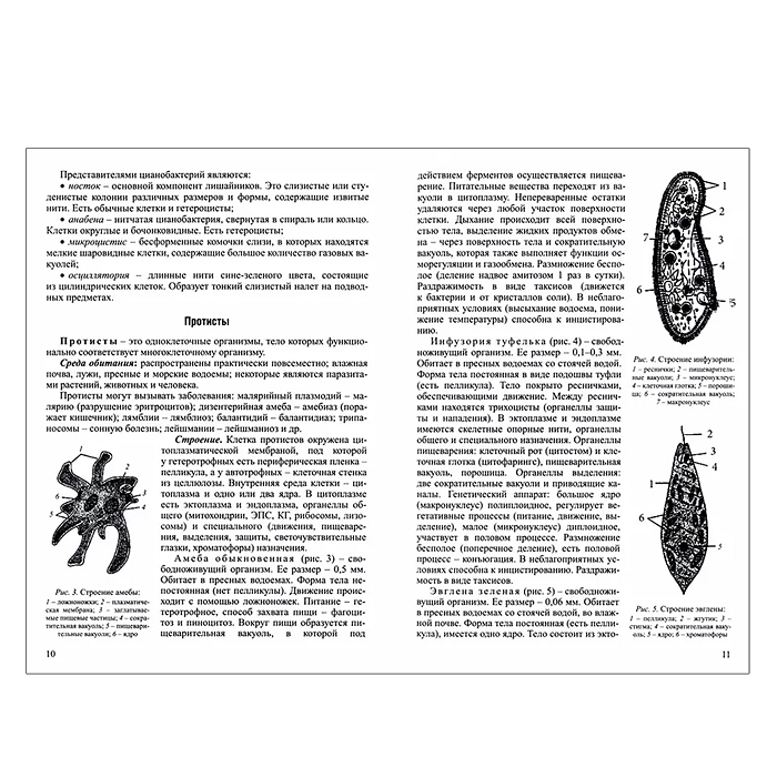Интенсивный курс. Биология