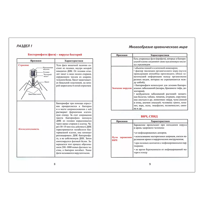 Фото к товару Весь школьный курс в таблицах и схемах. Биология Весь школьный курс в таблицах и схемах. Биология