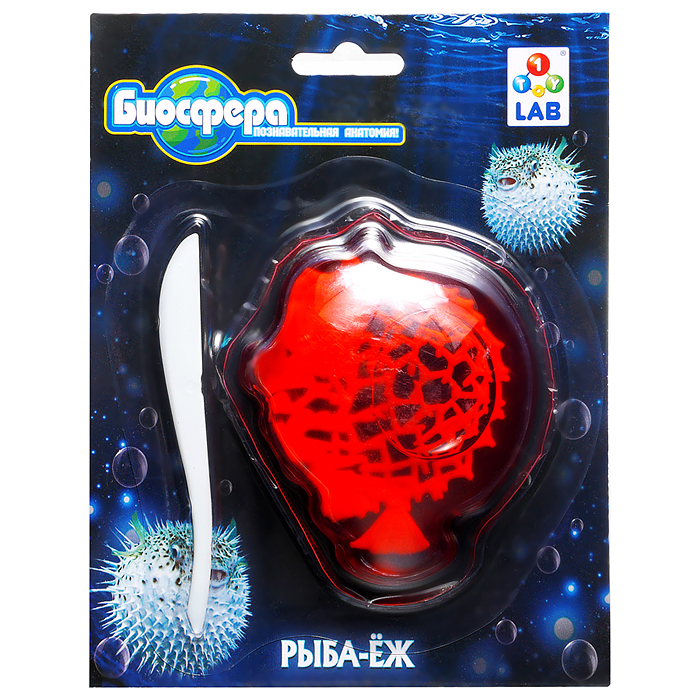 Познавательная анатомия, мини набор "Рыба-ёж" 14х18см