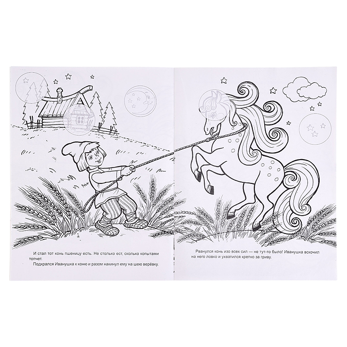 Книга. Сивка-Бурка (Сказки-раскраски с наклейками)