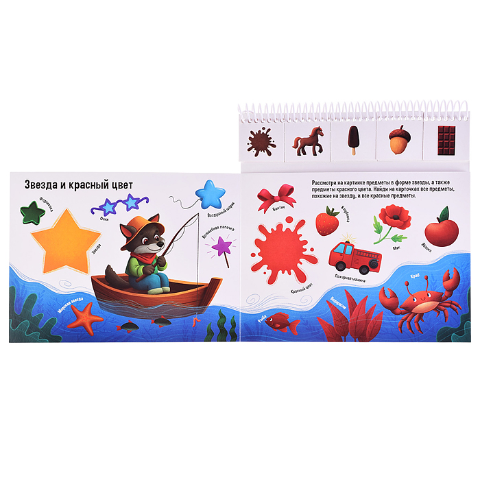 Умные пружинки. Цвета и формы