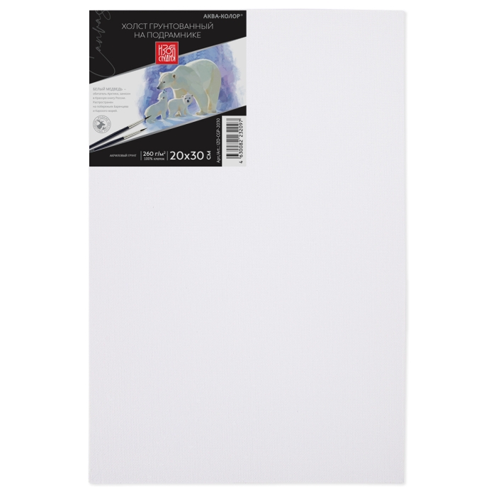 Холст грунтованный на подрамнике "Аква-колор" Изостудия 100% хлопок 20х30 см 260 г