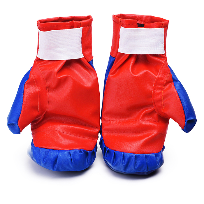 Детский набор для единоборств (макивара, перчатки, лапа) сине красный