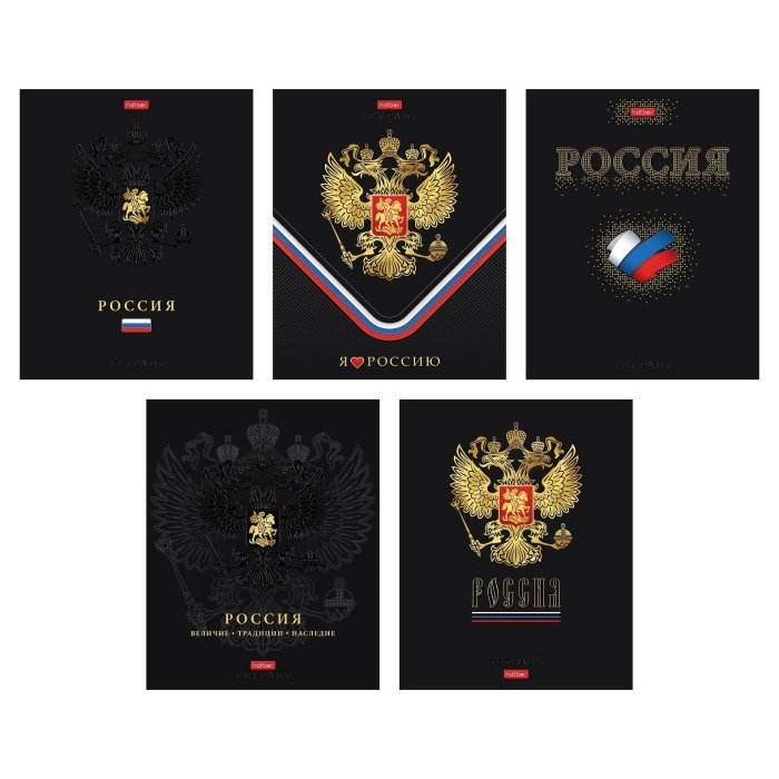 Тетрадь 48л. клетка "Россия" А5 на скобе 5 диз.в блоке мат.ламин. 3D фольга 3D лак скругл.углы 