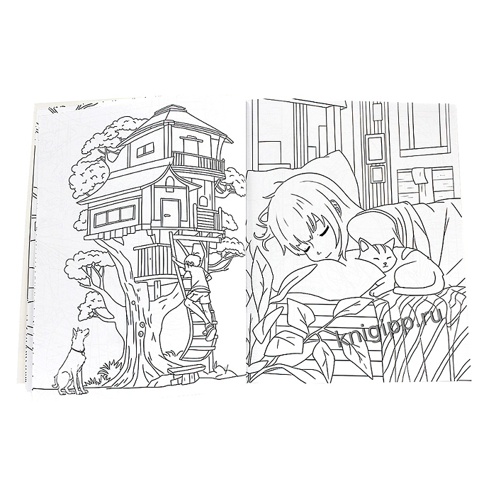 Раскраска аниме. Любимые питомцы