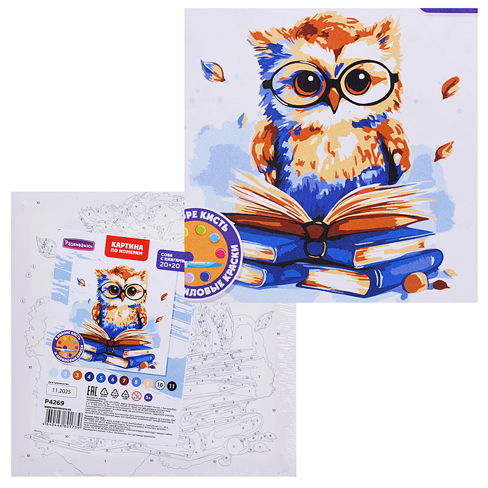Картина по номерам "Сова с книгами" 20х20см 