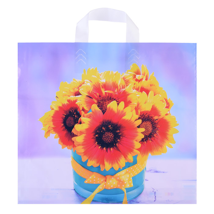 Пакет ПЭ с петлевой ручкой 38х34+3см (70) (Марлен)