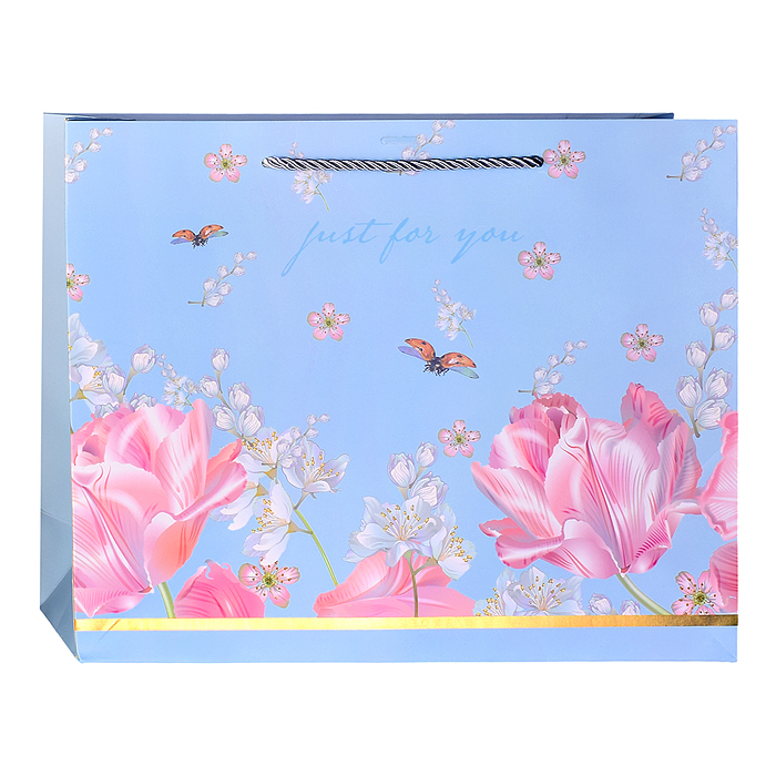 Пакет подарочный 00-7764 "Просто подарок" 32*26*11см.