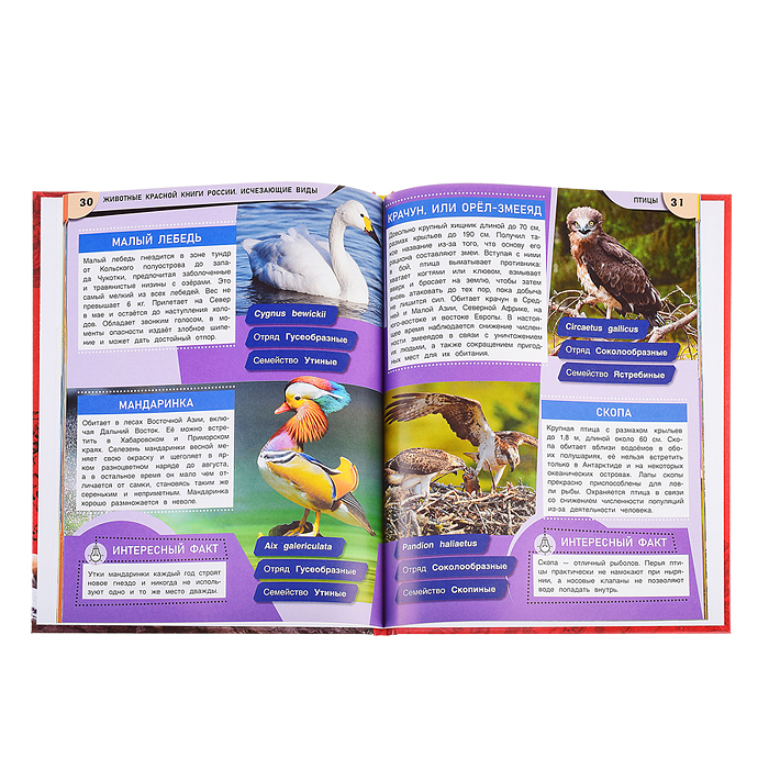 Животные Красной книги России. Исчезающие виды. Энциклопедия. 