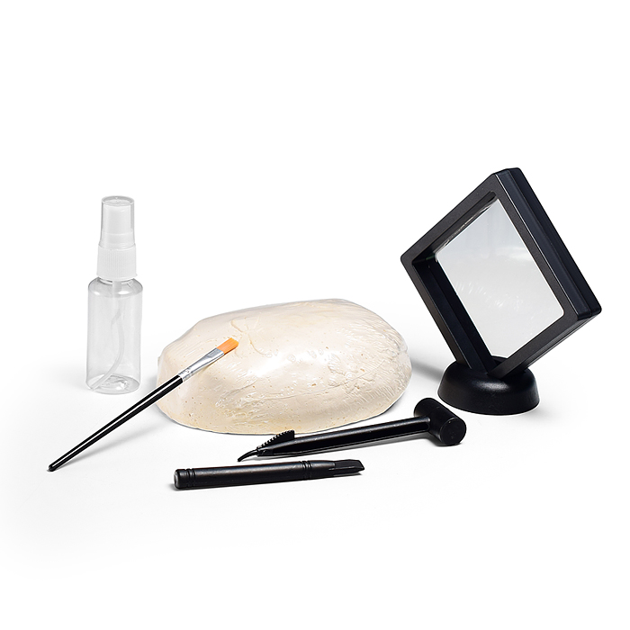 Раскопки ZS-887 "Кладоискатель" в коробке