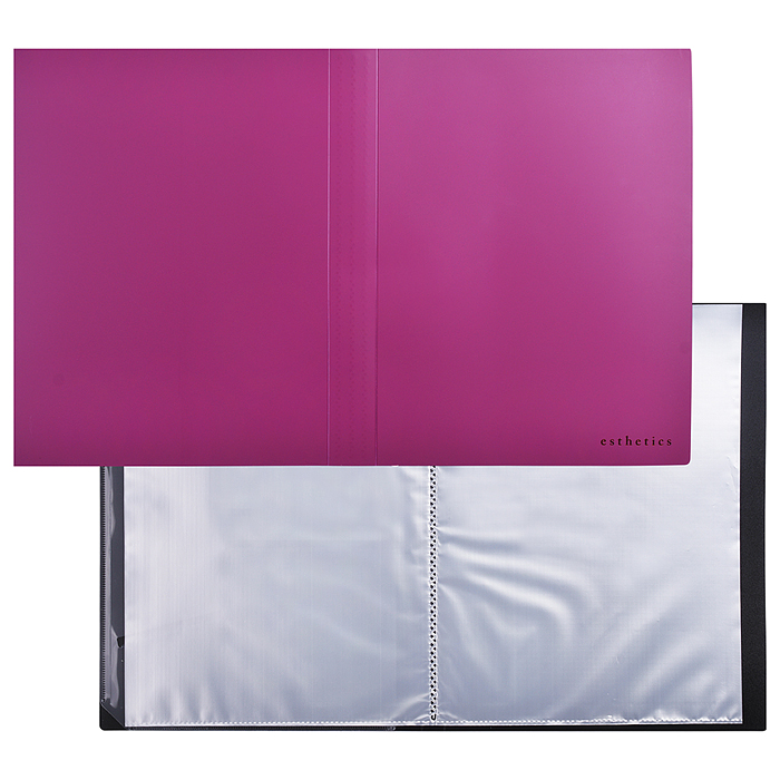 Папка с 40 вкладышами A4 "Esthetics" A4 (235x310x25 мм) полипропилен 700 мкм, фактура "sof