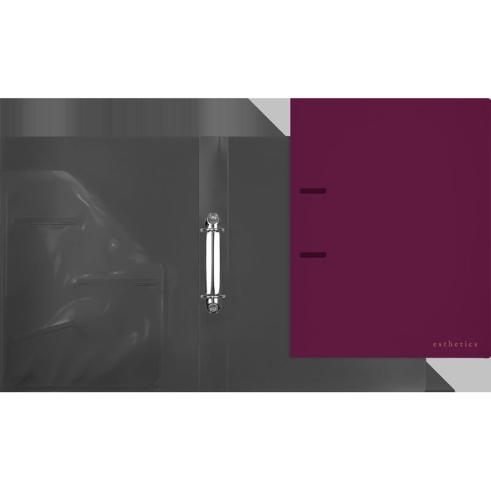 Папка на кольцах "Esthetics" A4 (240x310x35 мм) 2 кольца Ø 30 мм, полипропилен 800 мкм, фак