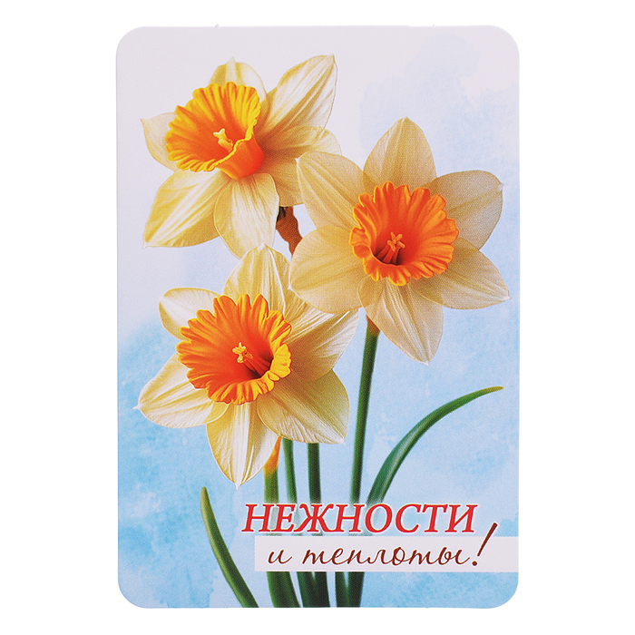 Набор мини-открыток "Акварельные цветы"