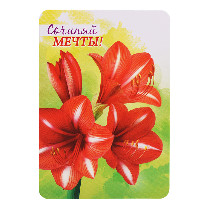 Набор мини-открыток "Акварельные цветы"