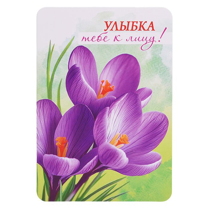 Набор мини-открыток "Акварельные цветы"