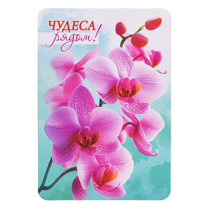 Набор мини-открыток "Акварельные цветы"