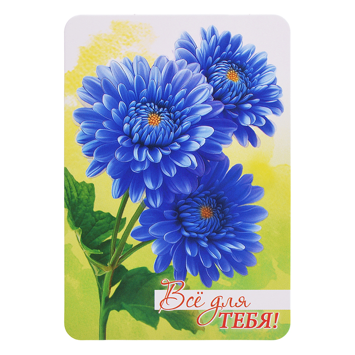 Набор мини-открыток "Акварельные цветы"