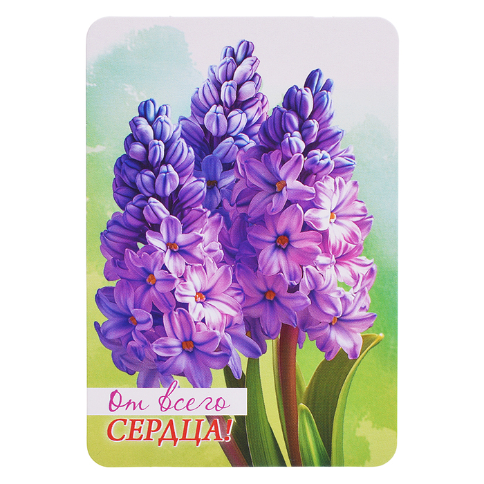 Набор мини-открыток "Акварельные цветы"