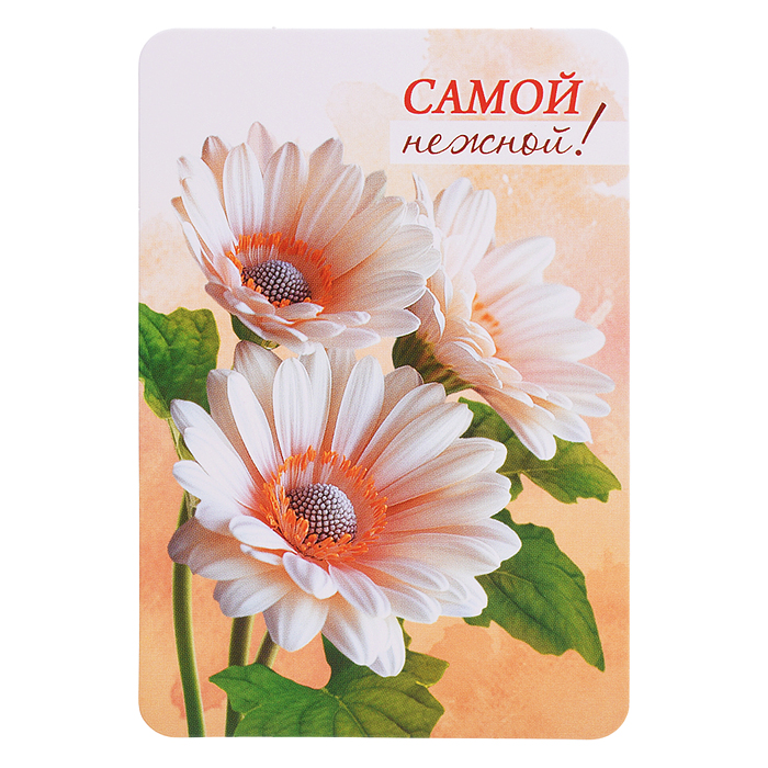 Набор мини-открыток "Акварельные цветы"