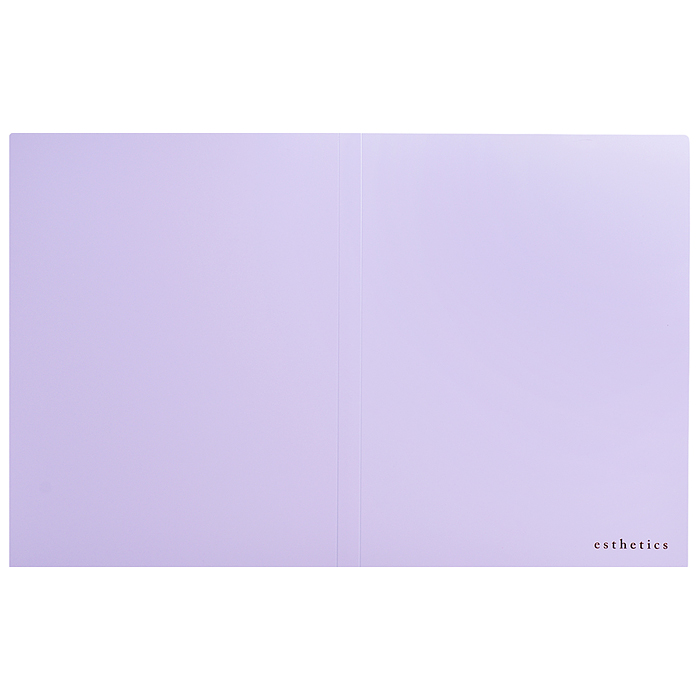 Папка с 20 вкладышами A4 "Esthetics" A4 (235x310x15 мм) полипропилен 700 мкм, фактура "sof