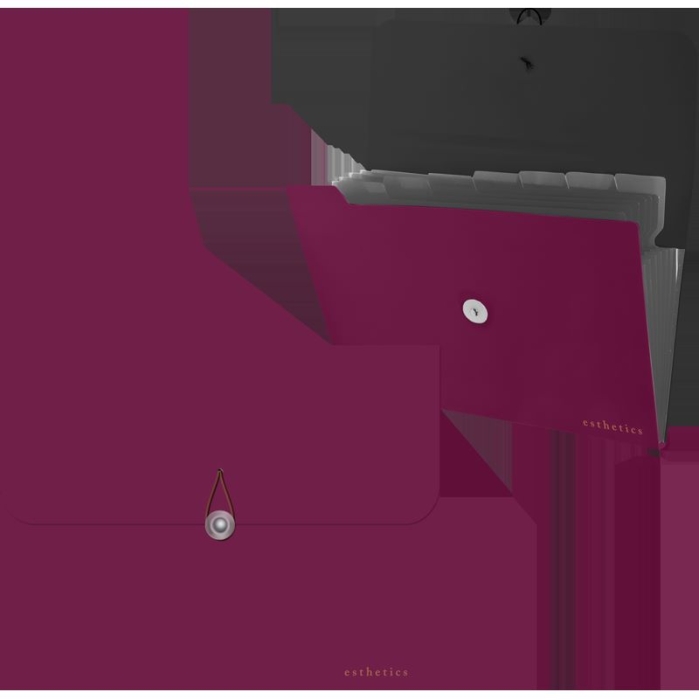 Папка с резинкой с 8-ю отделениями "Esthetics" A4 (328x235x16 мм) полипропилен 700 мкм, фак