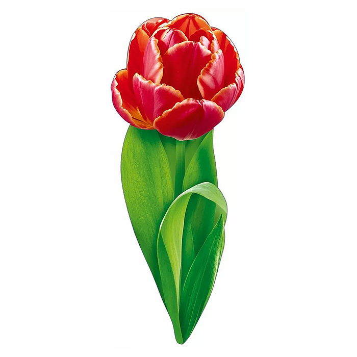 Украшение на скотче "Тюльпан"