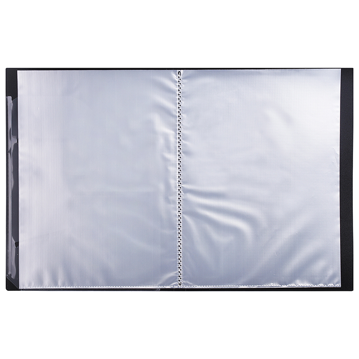 Папка с 40 вкладышами A4 "Esthetics" A4 (235x310x25 мм) полипропилен 700 мкм, фактура "sof