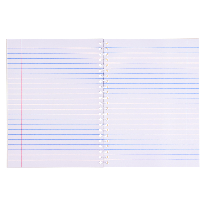 Тетрадь 48л. линейка "Обнимашки" на гребне 