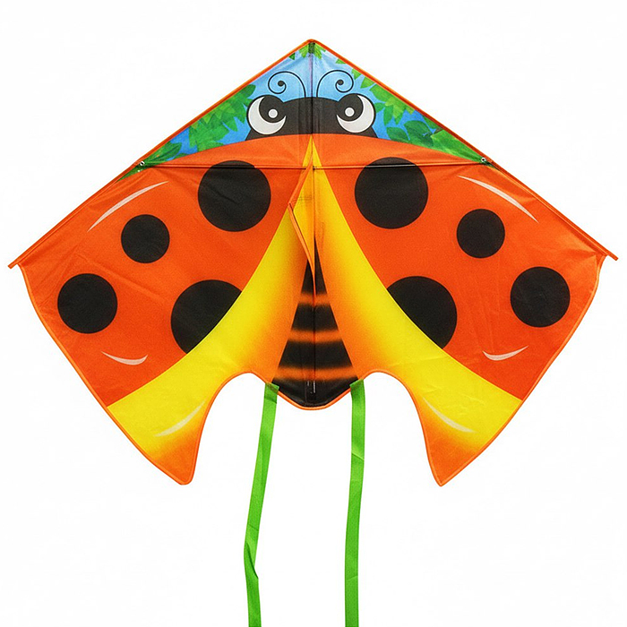 Змей воздушный 00-7673 "Покоритель высот"