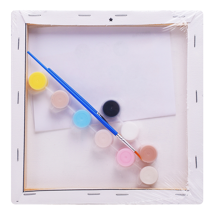 Картина по номерам "Голубые глазки" 20х20см