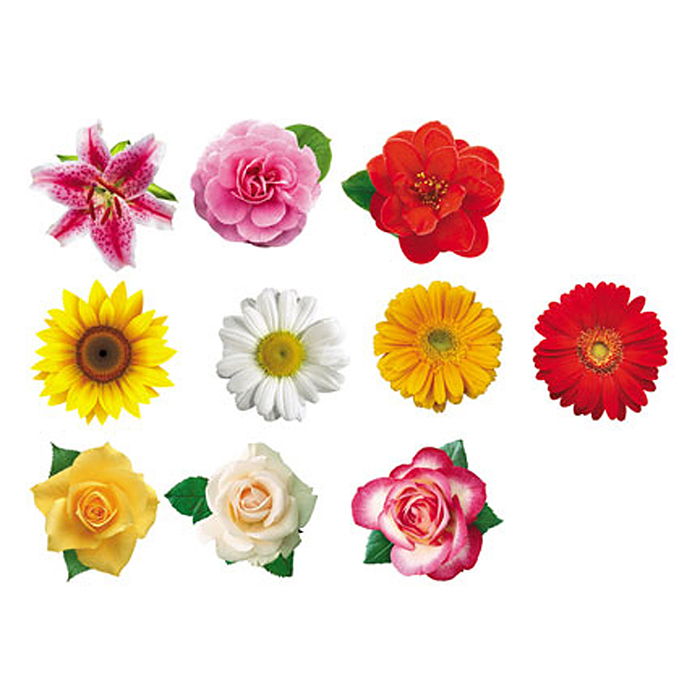 Комплект украшений на скотче. Набор цветов. (10 видов в комплекте)