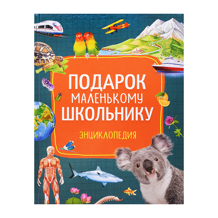Подарок маленькому школьнику. Энциклопедия