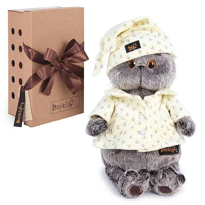 Кот Басик в пижаме