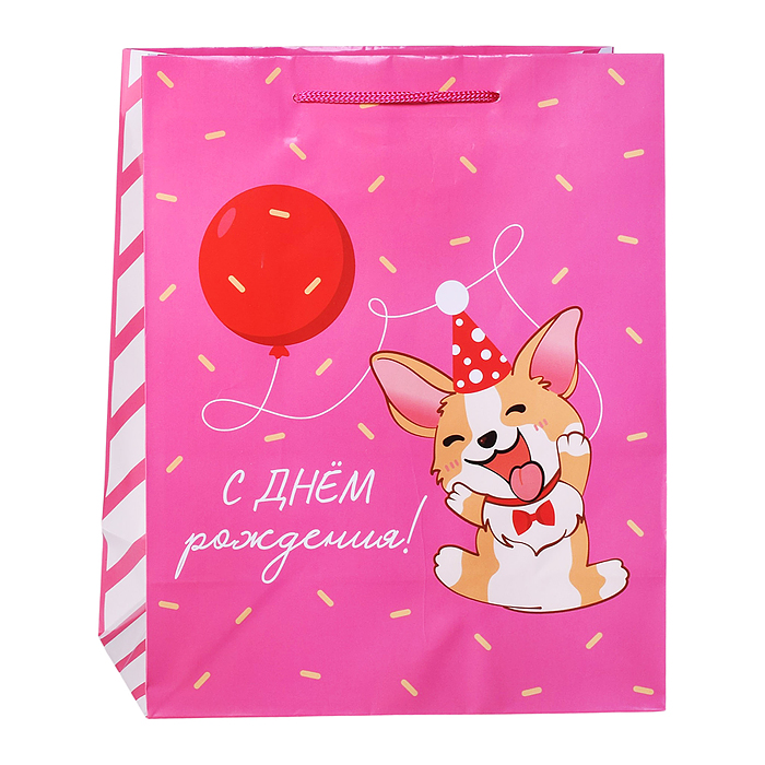 Пакет подарочный с глянцевой ламинацией 26x33x14 см (L) Праздничный корги, 157 г 